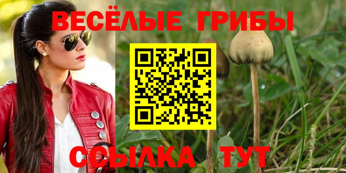 Галлюциногенные грибы Cubensis Кировск